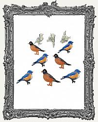 Blue Bird and Robin Brads - 12 Piece