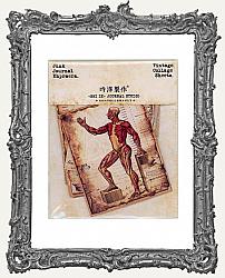 Die Cut Cardstock Ephemera - Pack of 10 - Human Anatomy